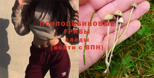 дистиллят марихуана Абаза