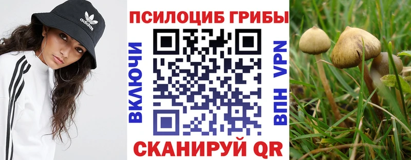Псилоцибиновые грибы GOLDEN TEACHER  Хасавюрт 